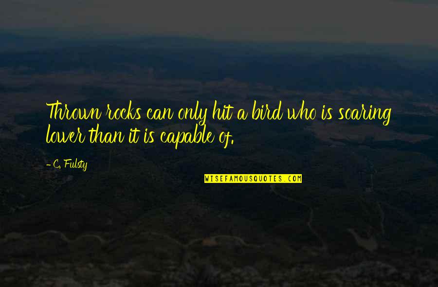 Capable Quotes Quotes By C. Fulsty: Thrown rocks can only hit a bird who