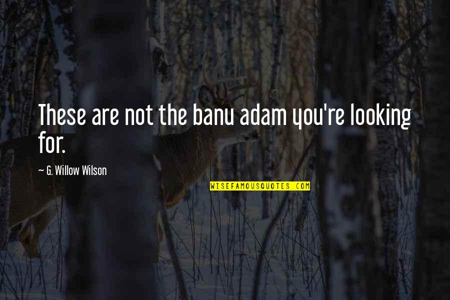 Capacitatea Pulmonara Quotes By G. Willow Wilson: These are not the banu adam you're looking Capacitatea Pulmonara Quotes By G. Willow Wilson: These are not the banu adam you're looking