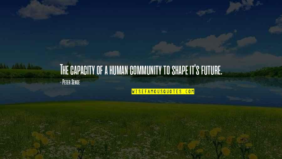 Capacity Quotes By Peter Senge: The capacity of a human community to shape