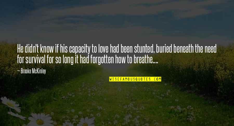 Capacity To Love Quotes By Brooke McKinley: He didn't know if his capacity to love