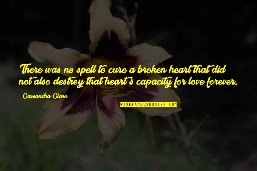 Capacity To Love Quotes By Cassandra Clare: There was no spell to cure a broken