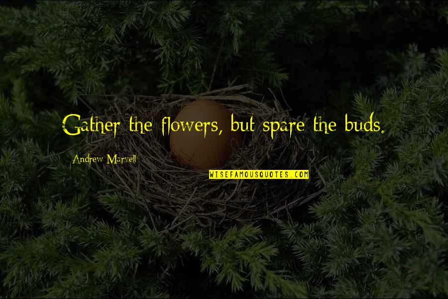 Caparazones De Tortugas Quotes By Andrew Marvell: Gather the flowers, but spare the buds.