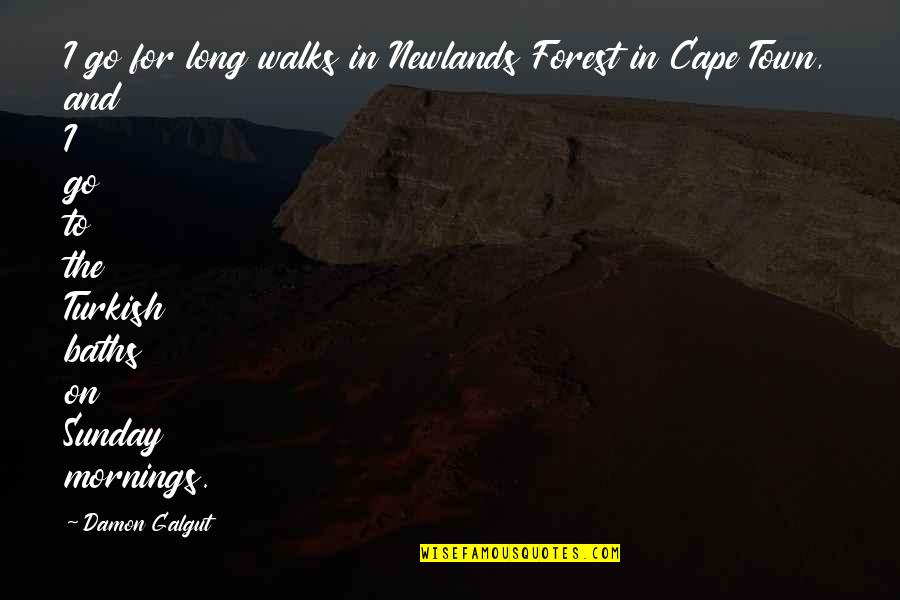 Cape Quotes By Damon Galgut: I go for long walks in Newlands Forest