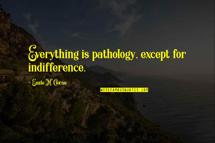 Capirossi Kalamazoo Quotes By Emile M. Cioran: Everything is pathology, except for indifference. Capirossi Kalamazoo Quotes By Emile M. Cioran: Everything is pathology, except for indifference.