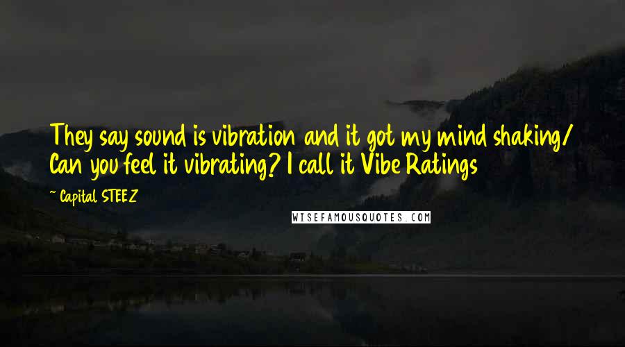 Capital STEEZ quotes: They say sound is vibration and it got my mind shaking/ Can you feel it vibrating? I call it Vibe Ratings
