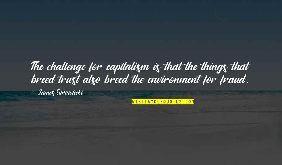 Capitalism And Environment Quotes By James Surowiecki: The challenge for capitalism is that the things