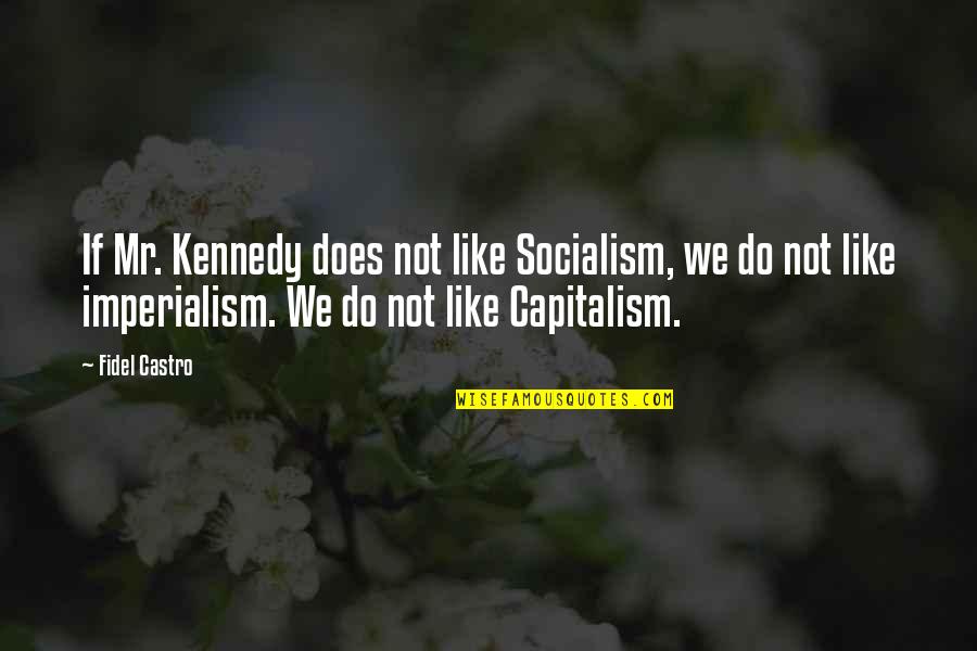Capitalism And Socialism Quotes By Fidel Castro: If Mr. Kennedy does not like Socialism, we