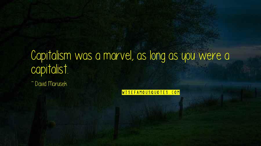 Capitalist Quotes By David Marusek: Capitalism was a marvel, as long as you