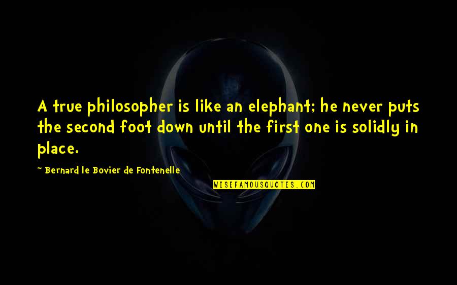 Capitanes Espn Quotes By Bernard Le Bovier De Fontenelle: A true philosopher is like an elephant; he Capitanes Espn Quotes By Bernard Le Bovier De Fontenelle: A true philosopher is like an elephant; he