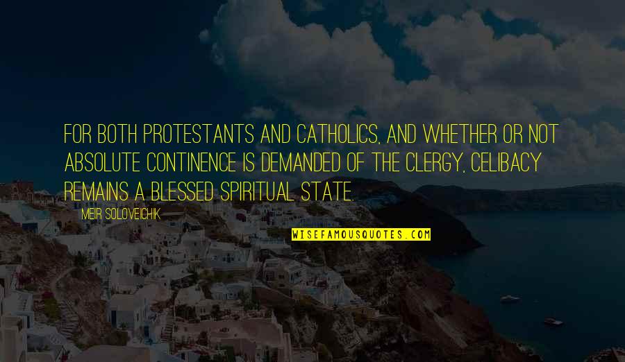 Capiti Quotes By Meir Soloveichik: For both Protestants and Catholics, and whether or