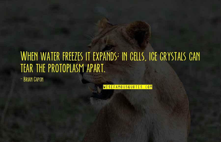 Capon Quotes By Brian Capon: When water freezes it expands; in cells, ice