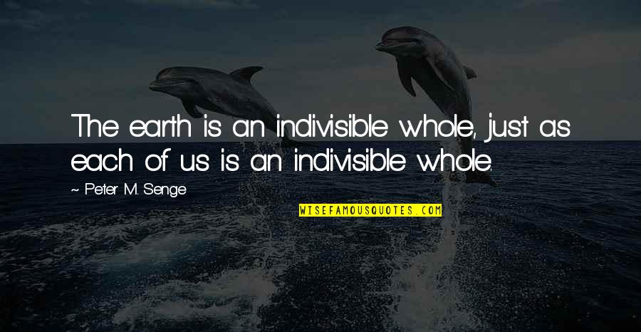 Capoulos Quotes By Peter M. Senge: The earth is an indivisible whole, just as
