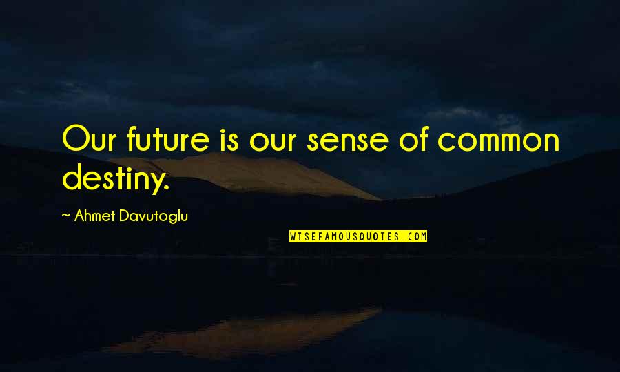 Cappelletto Sonia Quotes By Ahmet Davutoglu: Our future is our sense of common destiny.
