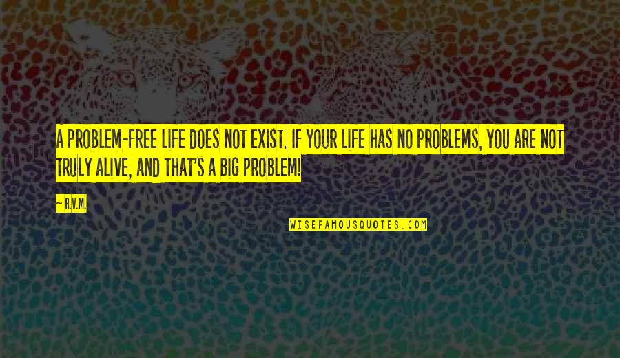 Captain Richard Winters Quotes By R.v.m.: A problem-free life does not exist. If your