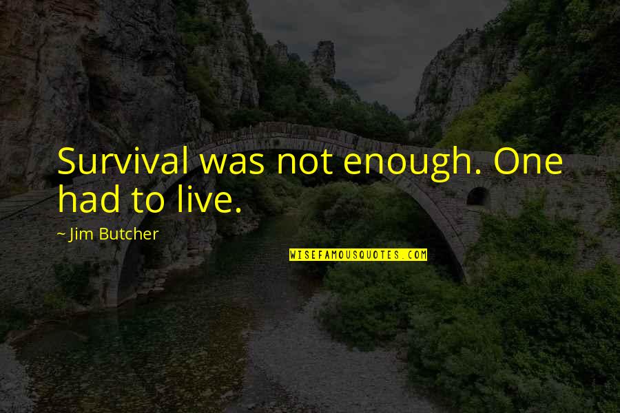 Captain S Fury Quotes By Jim Butcher: Survival was not enough. One had to live. Captain S Fury Quotes By Jim Butcher: Survival was not enough. One had to live.
