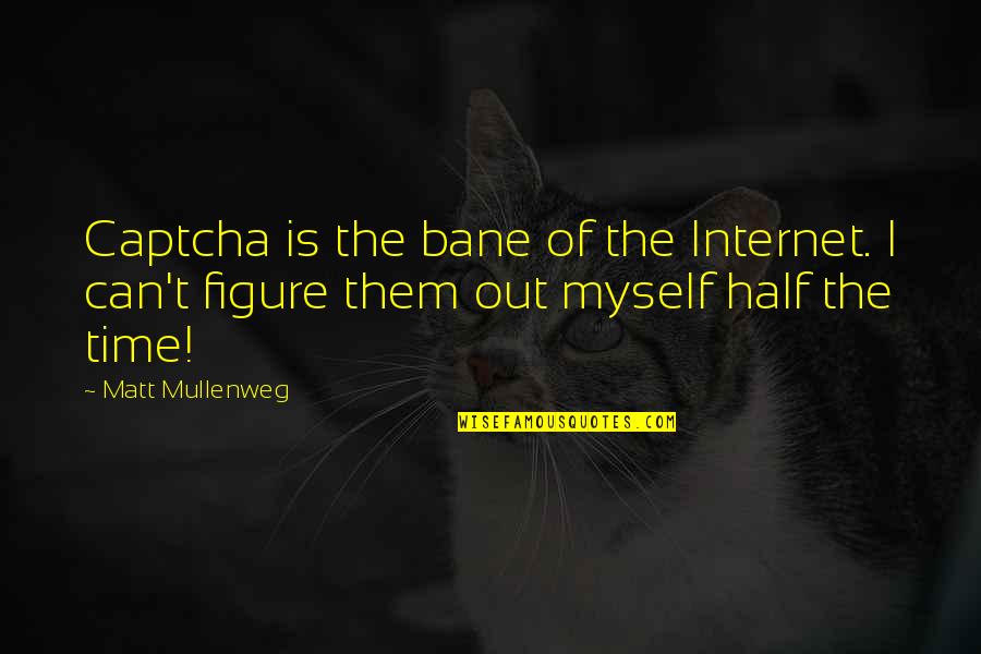 Captcha Quotes By Matt Mullenweg: Captcha is the bane of the Internet. I