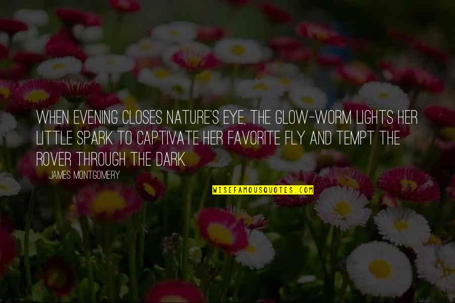 Captivate Quotes By James Montgomery: When evening closes Nature's eye, The glow-worm lights