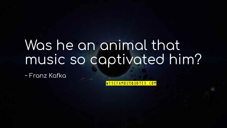 Captivated By You Quotes By Franz Kafka: Was he an animal that music so captivated