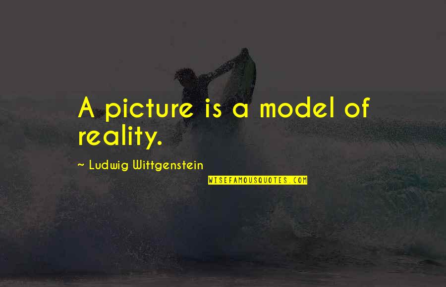 Captive Beauty Quotes By Ludwig Wittgenstein: A picture is a model of reality.