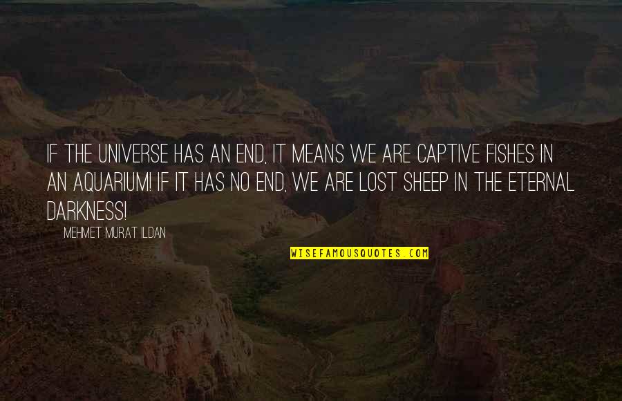 Captive Quotes By Mehmet Murat Ildan: If the universe has an end, it means