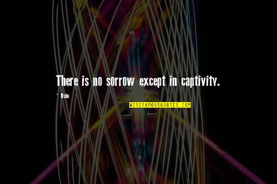 Captivity Quotes By Osho: There is no sorrow except in captivity.