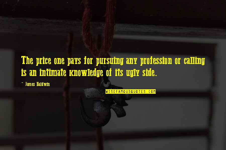 Capturar Tela Quotes By James Baldwin: The price one pays for pursuing any profession Capturar Tela Quotes By James Baldwin: The price one pays for pursuing any profession