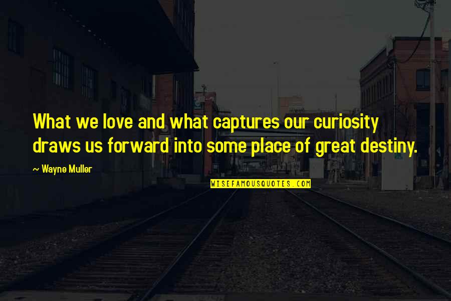 Captures Quotes By Wayne Muller: What we love and what captures our curiosity
