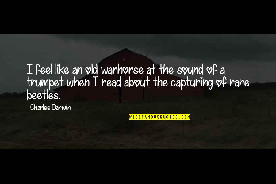 Capturing A Quotes By Charles Darwin: I feel like an old warhorse at the