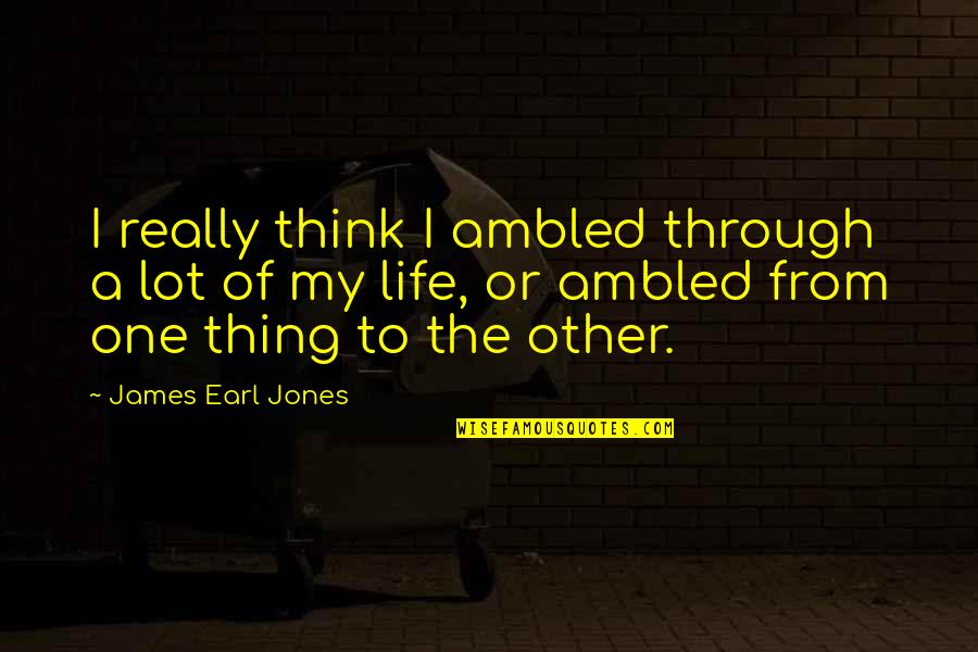 Car Audio Installation Quotes By James Earl Jones: I really think I ambled through a lot