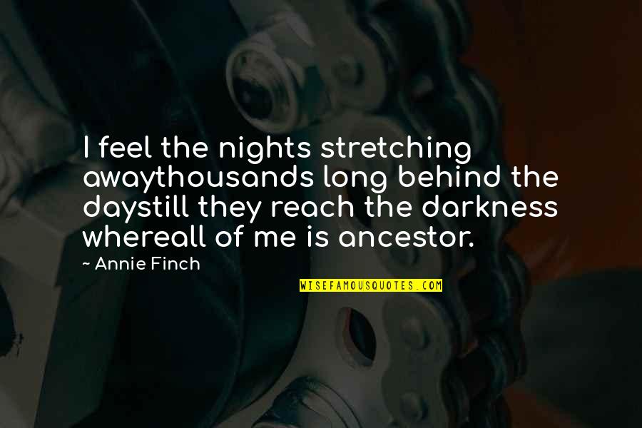 Car Brake Quotes By Annie Finch: I feel the nights stretching awaythousands long behind