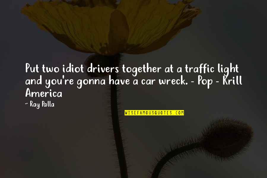 Car Drivers Quotes By Ray Palla: Put two idiot drivers together at a traffic