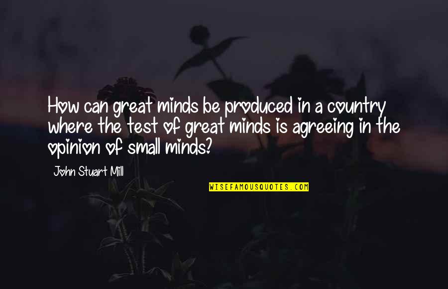 Car Hire Cape Town Quotes By John Stuart Mill: How can great minds be produced in a