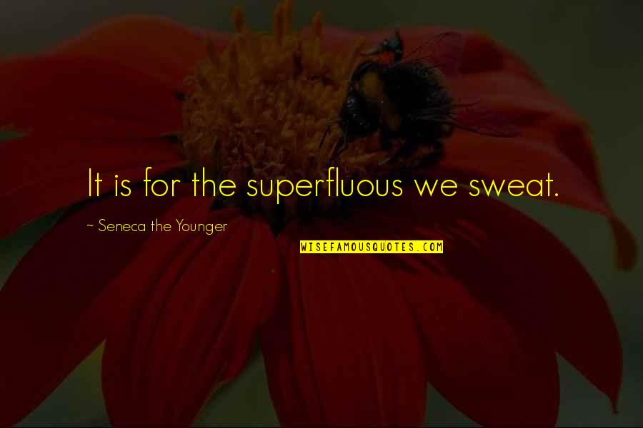 Car Talk Famous Quotes By Seneca The Younger: It is for the superfluous we sweat.