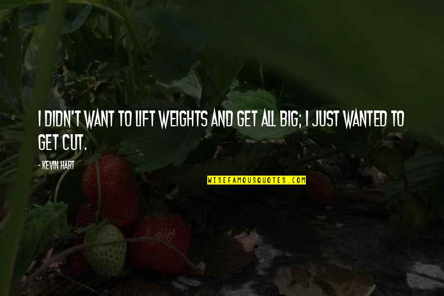 Car Warranty Instant Quote Quotes By Kevin Hart: I didn't want to lift weights and get