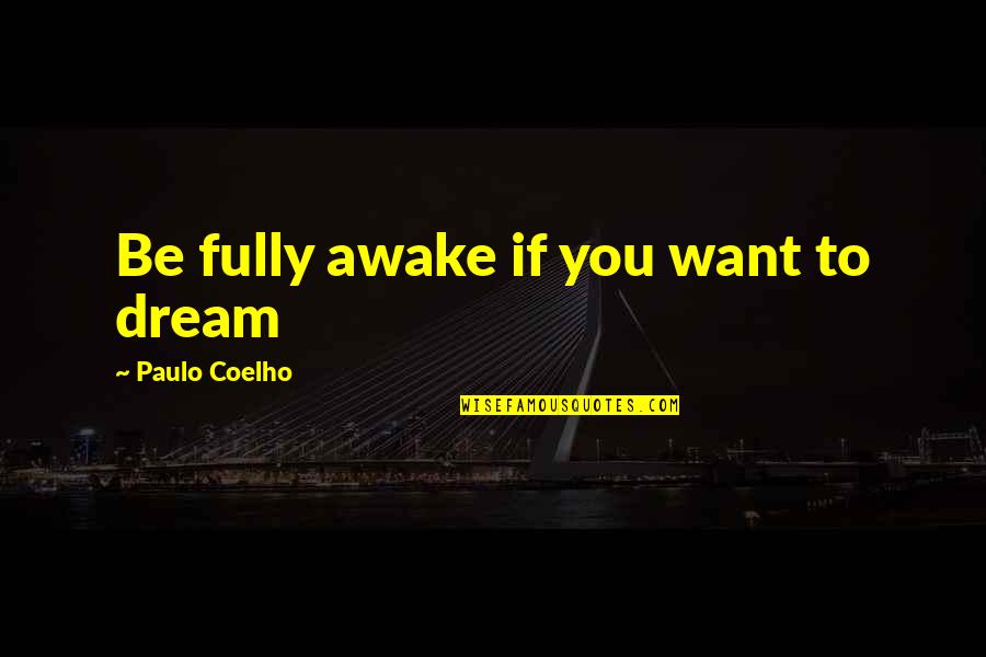 Car Wash Reader Board Quotes By Paulo Coelho: Be fully awake if you want to dream