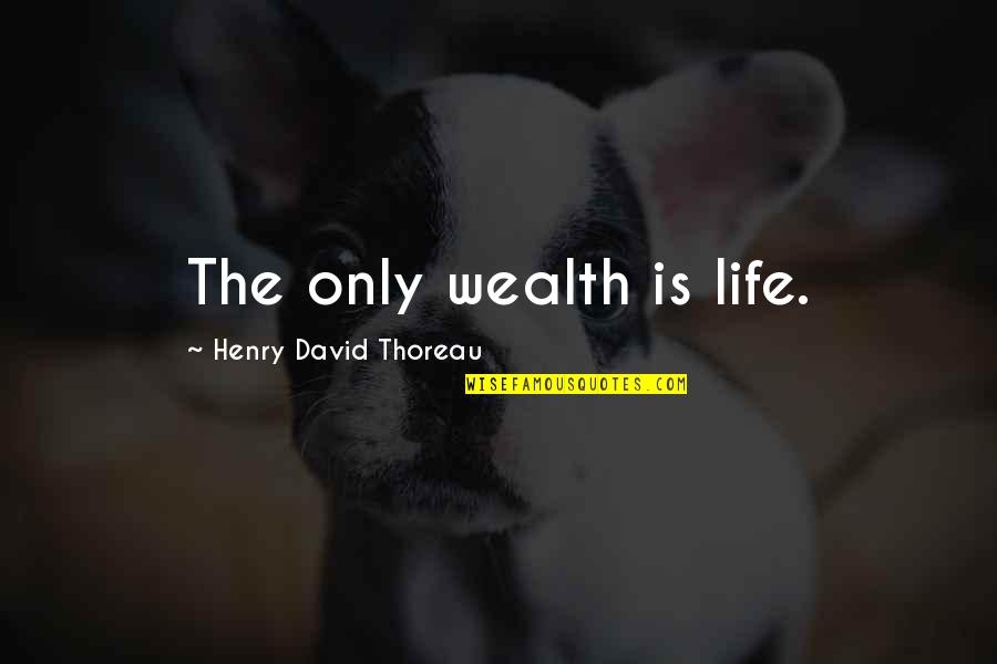 Caraceni Quotes By Henry David Thoreau: The only wealth is life.