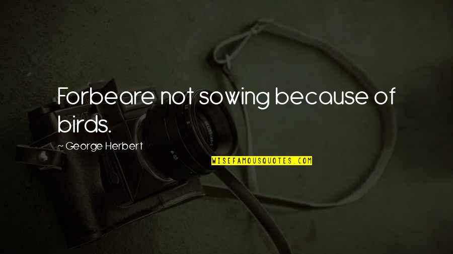 Carafano Optical Quotes By George Herbert: Forbeare not sowing because of birds.