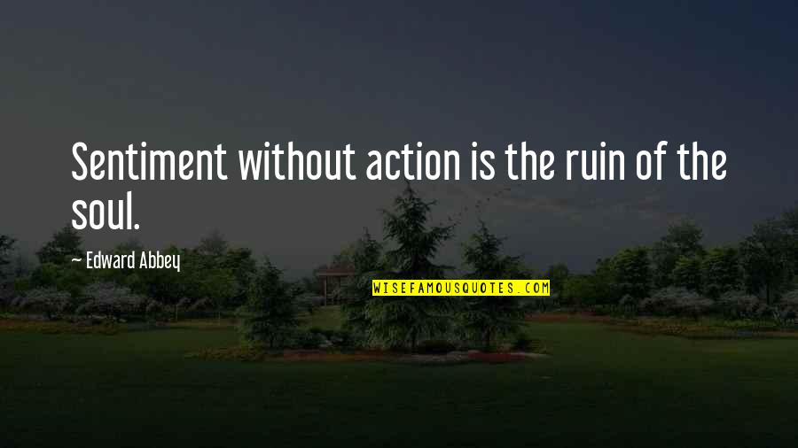 Caramelized Quotes By Edward Abbey: Sentiment without action is the ruin of the