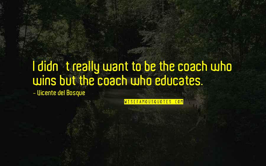 Carapaa Quotes By Vicente Del Bosque: I didn't really want to be the coach Carapaa Quotes By Vicente Del Bosque: I didn't really want to be the coach