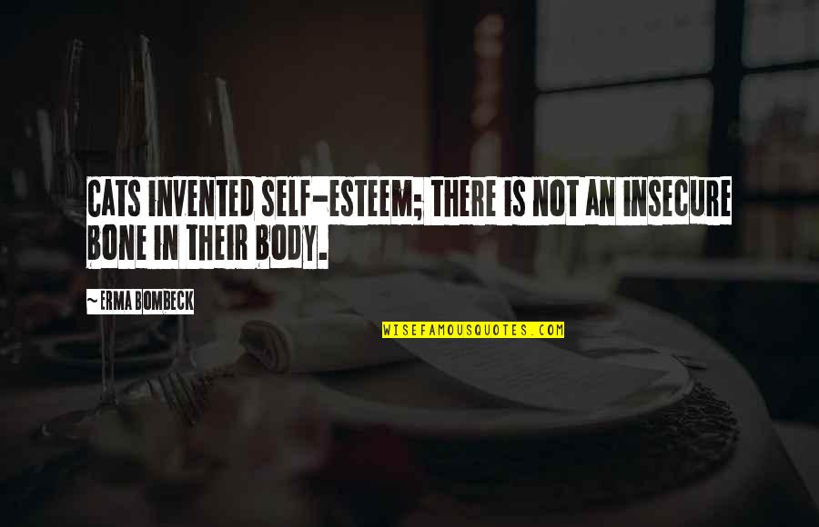 Caravieri Imobiliaria Quotes By Erma Bombeck: Cats invented self-esteem; there is not an insecure