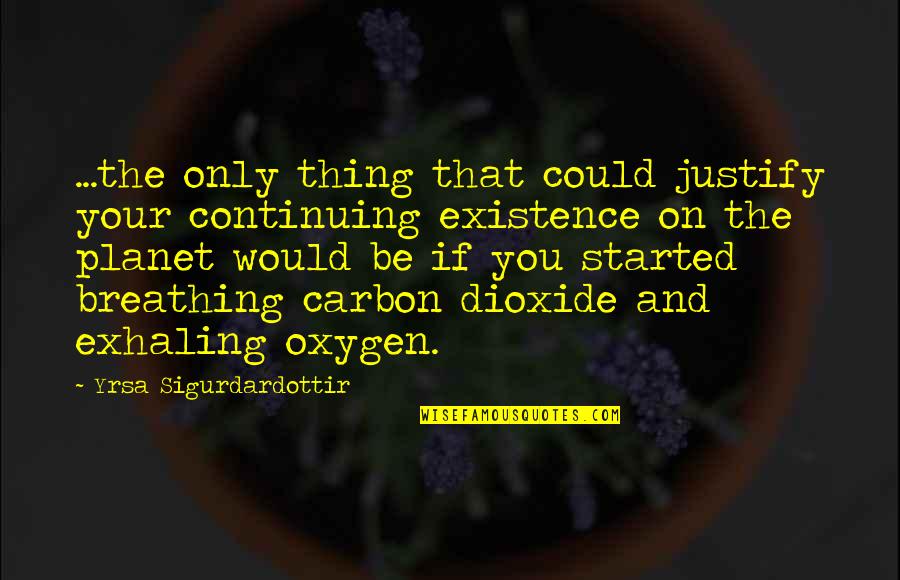 Carbon Dioxide Quotes By Yrsa Sigurdardottir: ...the only thing that could justify your continuing