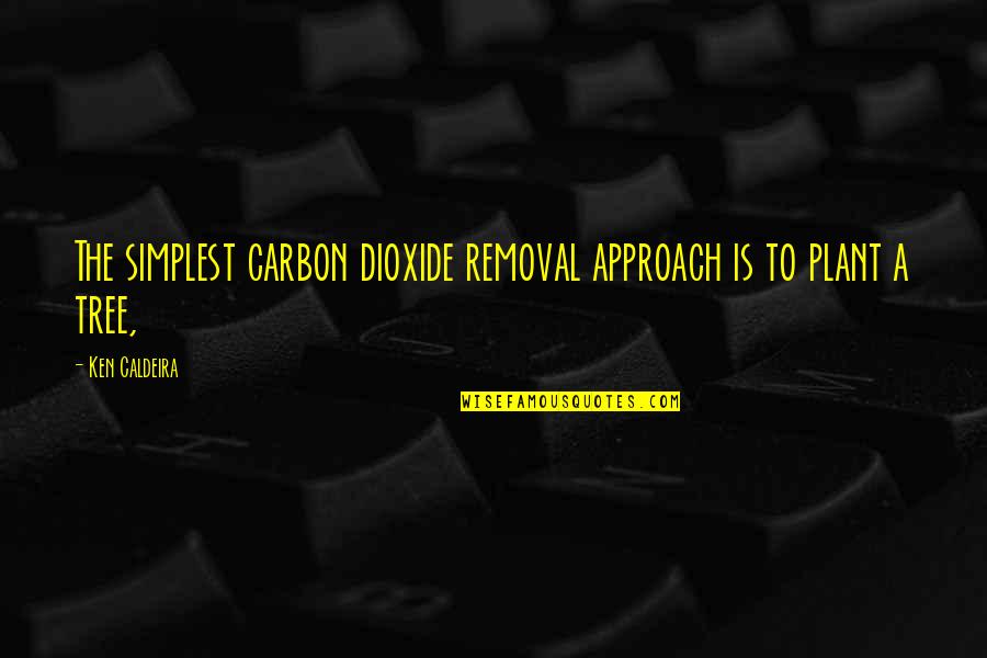Carbon Quotes By Ken Caldeira: The simplest carbon dioxide removal approach is to