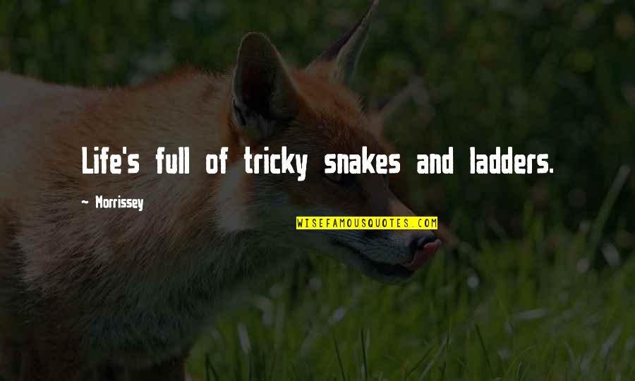 Carbon Silicon Compound Quotes By Morrissey: Life's full of tricky snakes and ladders. Carbon Silicon Compound Quotes By Morrissey: Life's full of tricky snakes and ladders.