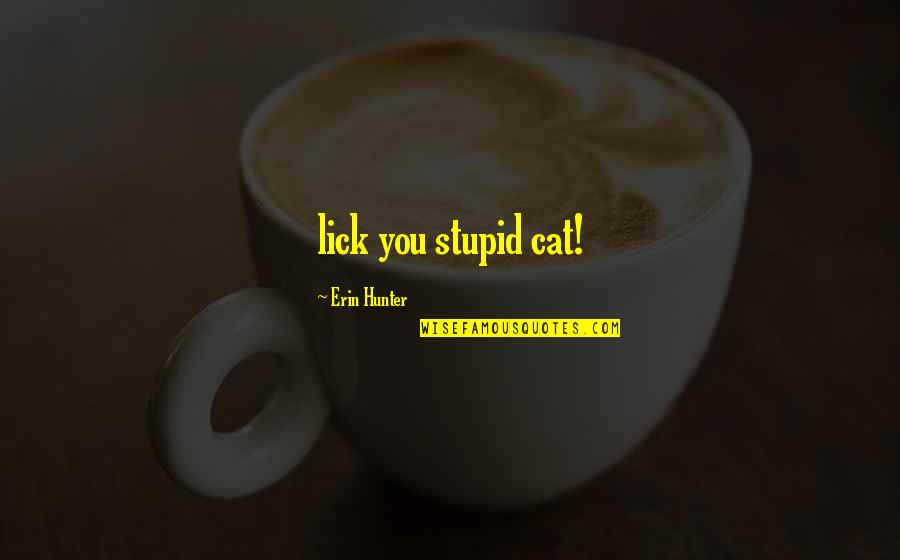 Carboniferous Rainforest Quotes By Erin Hunter: lick you stupid cat! Carboniferous Rainforest Quotes By Erin Hunter: lick you stupid cat!
