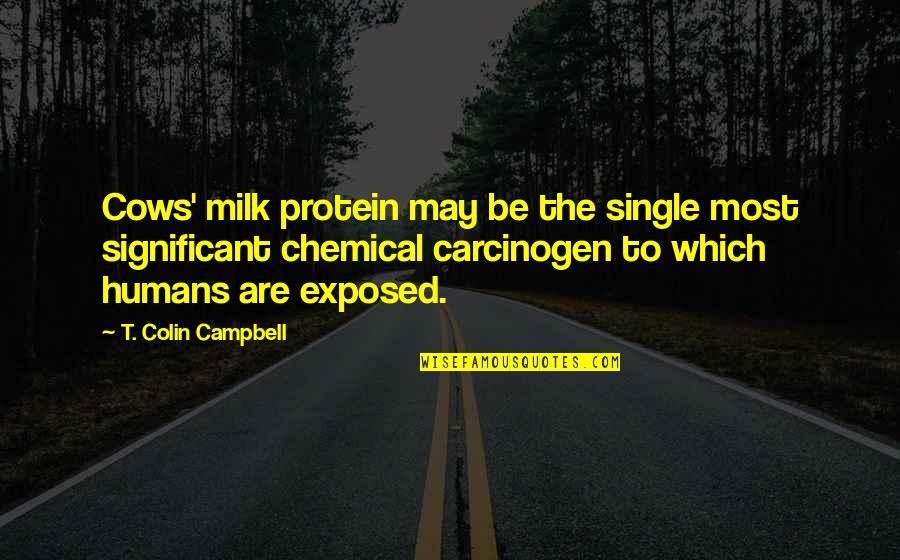 Carcinogen Quotes By T. Colin Campbell: Cows' milk protein may be the single most Carcinogen Quotes By T. Colin Campbell: Cows' milk protein may be the single most