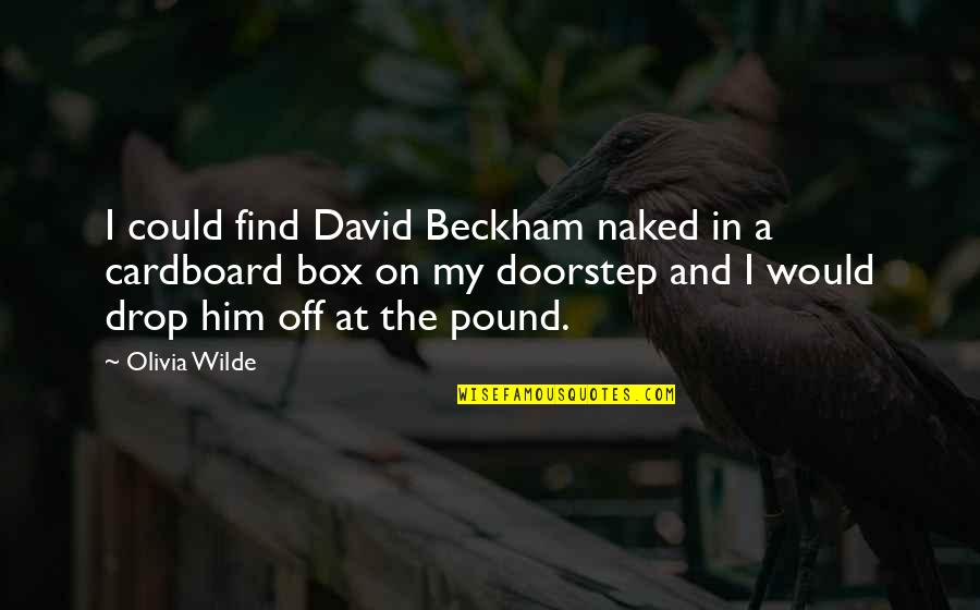 Cardboard Boxes Quotes By Olivia Wilde: I could find David Beckham naked in a