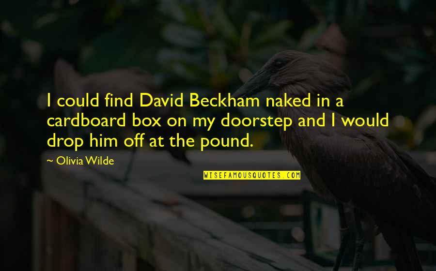 Cardboard Quotes By Olivia Wilde: I could find David Beckham naked in a