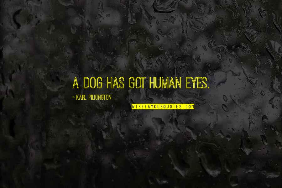 Cardcaptor Sakura Yue Quotes By Karl Pilkington: A dog has got human eyes. Cardcaptor Sakura Yue Quotes By Karl Pilkington: A dog has got human eyes.
