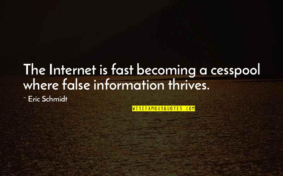 Cardinal In Winter Quotes By Eric Schmidt: The Internet is fast becoming a cesspool where
