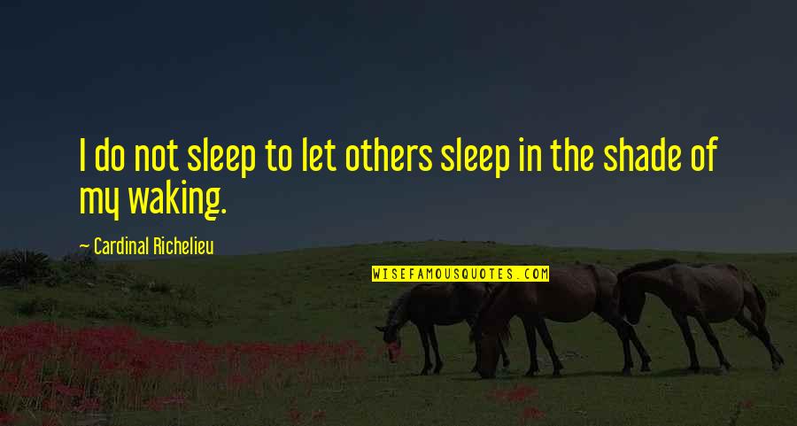 Cardinal Quotes By Cardinal Richelieu: I do not sleep to let others sleep